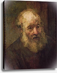 Постер Рембрандт (Rembrandt) Head of an Old Man, c.1650