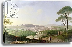 Постер Пэтч Томас View of Florence 1