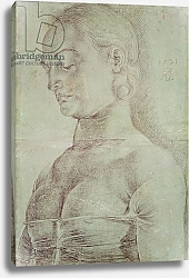 Постер Дюрер Альбрехт Saint Apollonia, 1521