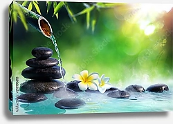 Постер Цветы плюмерии в японском фонтане с камнями и бамбуком
