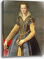 Постер Аллори Алессандро Marie de Medici, wife of Henri IV of France