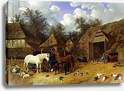 Постер Херринг Джон The Artist's Farmyard at Meopham, Kent, with Horses, Shetland Ponies, Pigs, Ducks, Pigeons and Chickens, 1857