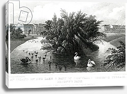 Постер Шепард Томас (акв) An island on the lake and part of Cornwall and Clarence Terrace, Regent's Park
