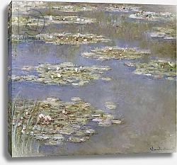 Постер Моне Клод (Claude Monet) Nympheas, c.1905