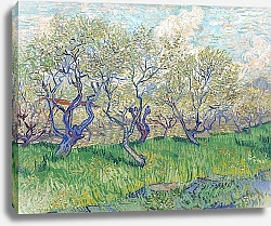 Постер Ван Гог Винсент (Vincent Van Gogh) Фруктовый сад в цвету (сливы) 2