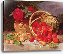 Постер Стэннард Элоиза Still life of basket with strawberries and cherries, 1898