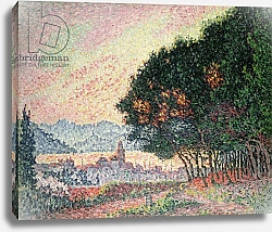 Постер Синьяк Поль (Paul Signac) Forest near St. Tropez, 1902