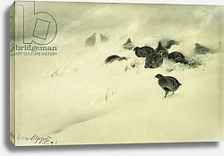 Постер Лильефорс Бруно Grouse in a Snow Storm, 1890