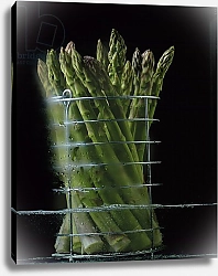 Постер Холландс Норман (совр) Asparagus in steamer, 1994