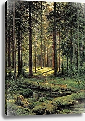 Постер Богданов-Бельский Николай Хвойноный лес в солнечный день
