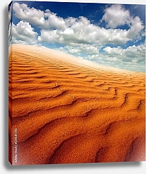 Постер Пески пустыни