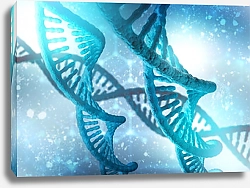 Постер Спирали ДНК