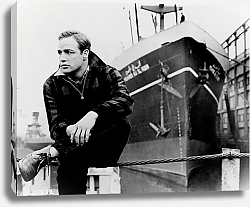 Постер Brando, Marlon (On The Waterfront)