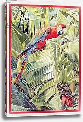 Постер Хаус Фелисити (совр) Jungle Parrot