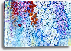Постер Красочные гроздья цветов орхидеи