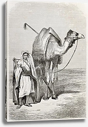 Постер Boy holding camel's reins. Created by Pottin, published on Le Tour du Monde, Paris, 1864