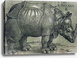 Постер Дюрер Альбрехт The Rhinoceros, 1515 1