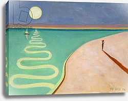 Постер Уиллис Тилли (совр) Serpentine Sunset, 2004