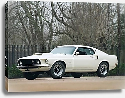 Постер Mustang Boss 429 '1969
