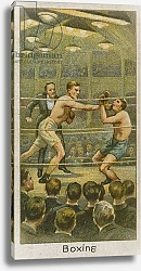 Постер Школа: Английская 20в. Boxing 3