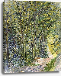 Постер Ван Гог Винсент (Vincent Van Gogh) Тропинка в лесу, 1887