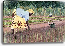 Постер Уиллис Тилли (совр) Planting Onions, 2005