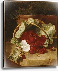 Постер Стэннард Элоиза Raspberries in a Cabbage Leaf Lined Basket with White Convulvulus on a Stone Ledge, 1880