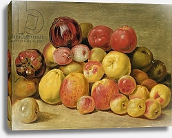 Постер Тишбейн Иоганн Pieces of Fruit