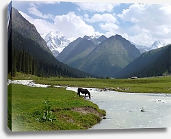 Постер Лошадь у горной реки