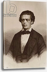 Постер Школа: Русская 19в. Portrait of Anton Rubinstein