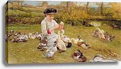 Постер Джонсон Эдвард Feeding the ducks 1