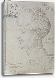 Постер Дюрер Альбрехт Head of Suleyman the Magnificent 1526