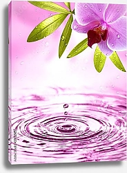 Постер Розовая вода с орхидеей