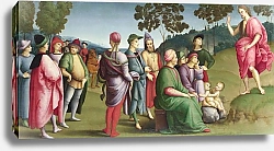 Постер Рафаэль (Raphael Santi) Молящийся Святой Иоанн-Креститель