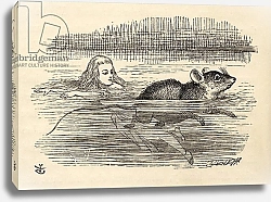 Постер Тениель Джон Alice swimming with a mouse in the pool of tears, from 'Alice's Adventures in Wonderland'