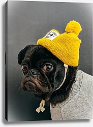 Постер Маленький пес в желтой шапочке