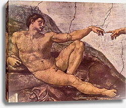 Постер Микеланджело (Michelangelo Buonarroti) Фрески плафона Сикстинской капеллы. История творения [06]. Господь сотворяет Адама