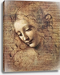 Постер Леонардо да Винчи (Leonardo da Vinci) Head of a Young Woman with Tousled Hair or, Leda