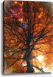 Постер Осеннее дерево с красными листьями в лучах солнца