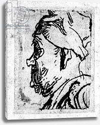 Постер Рембрандт (Rembrandt) Old man with a snub nose, c.1629