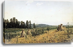 Постер Шишкин Иван Пейзаж Полесья. 1884