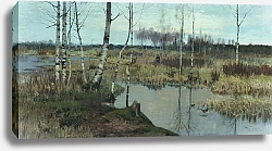 Постер Бергольц Ричард Весенний пейзаж