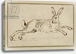 Постер Сеймур Джеймс A Hare Running, With Ears Pricked