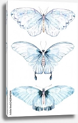Постер Акварельные голубые бабочки