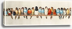 Постер Насест птиц (1880) Гектора Джакомелли 