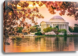 Постер Мемориал Джефферсона в Вашингтоне весной