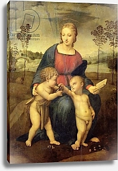 Постер Рафаэль (Raphael Santi) Madonna of the Goldfinch, c.1506