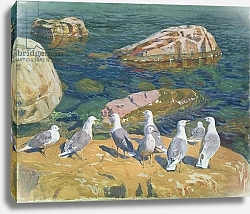 Постер Рылов Аркадий Seagulls, 1910