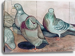 Постер Хаббард-Форд Кэролин Pigeons