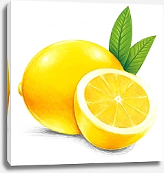 Постер Желтый нарисованный лимон